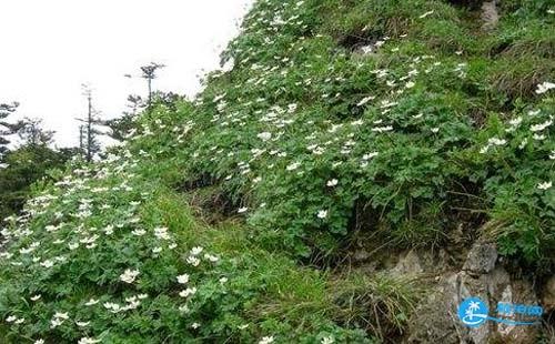 2018武当山旅游攻略 武当山旅游推荐 2018武当山旅游攻略 武当山旅游推荐