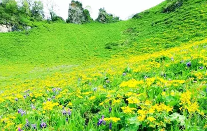茂县九鼎山露营怎么样 茂县九鼎山门票是多少 茂县九鼎山露营怎么样 茂县九鼎山门票是多少