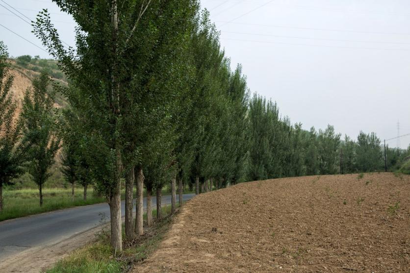 红崖沟大峡谷好玩吗 红崖沟大峡谷穿越最佳路线 红崖沟大峡谷好玩吗 红崖沟大峡谷穿越最佳路线