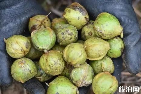 临安特色美食小吃推荐 临安特色美食小吃推荐