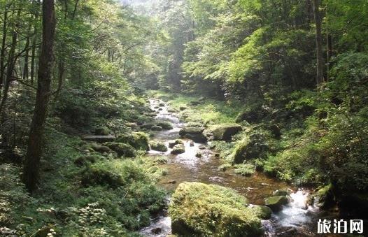 去张家界旅游住在哪里比较好 去张家界旅游住在哪里比较好