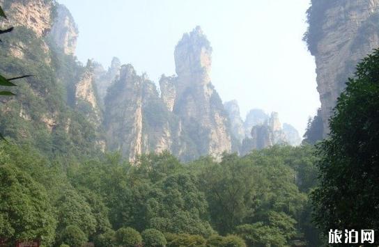 去张家界旅游住在哪里比较好 去张家界旅游住在哪里比较好