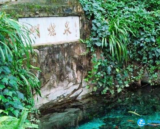 大理蝴蝶泉作文800字 大理蝴蝶泉作文800字