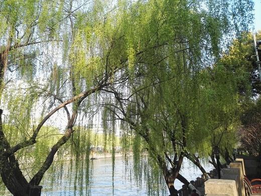 京杭古运河好玩儿吗 京杭古运河好玩儿吗