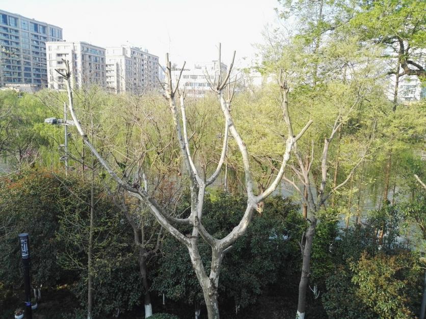 京杭古运河好玩儿吗 京杭古运河好玩儿吗