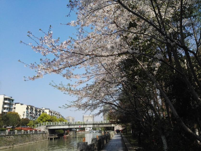 京杭古运河好玩儿吗 京杭古运河好玩儿吗