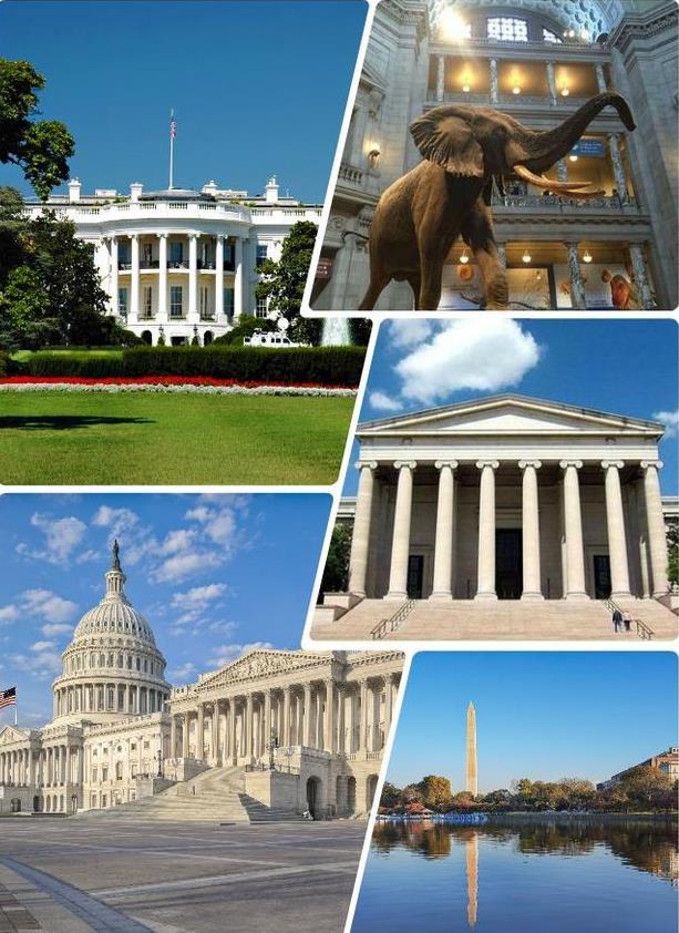 去美国旅游需要什么手续及注意事项 去美国旅游需要什么手续及注意事项