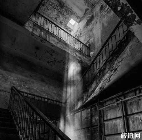 选Leica S还是哈苏X1D 相机知识普及 选Leica S还是哈苏X1D 相机知识普及