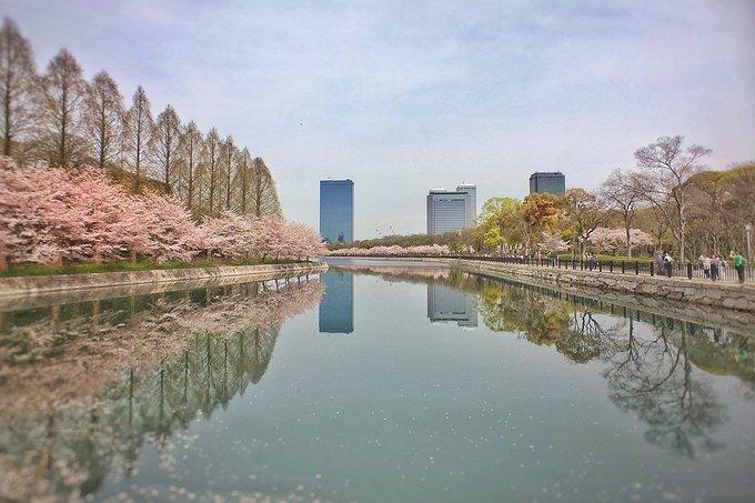 日本拍照最佳景点 日本有什么好吃的 日本拍照最佳景点 日本有什么好吃的
