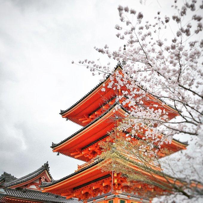 日本拍照最佳景点 日本有什么好吃的 日本拍照最佳景点 日本有什么好吃的