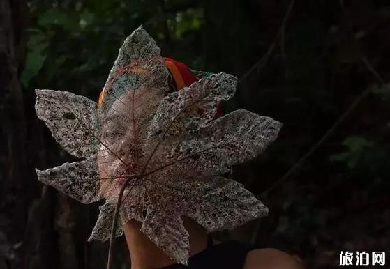 震撼人心的获奖摄影作品 震撼人心的获奖摄影作品