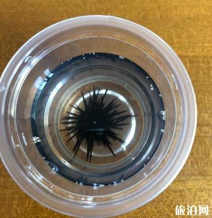 惠州双月湾小星山两日游 惠州双月湾小星山两日游