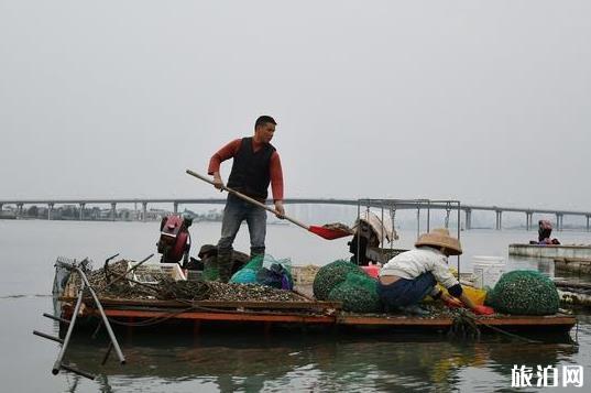 湛江免费景点大全 湛江免费景点大全