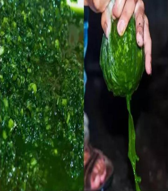 云南有哪些奇怪的食物 云南有哪些奇怪的食物