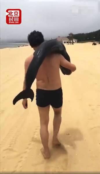游客疑似活捉海豚 海滩游客注意事项有哪些 游客疑似活捉海豚 海滩游客注意事项有哪些